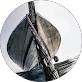 Profile picture of Andrea Steiner